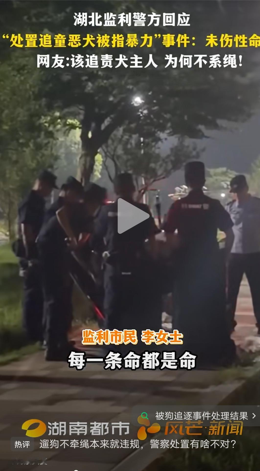 如果恶犬追孩子你是要顾孩子还是要尊重恶犬性命？
7月4日晚间，湖北监利市滨江公园