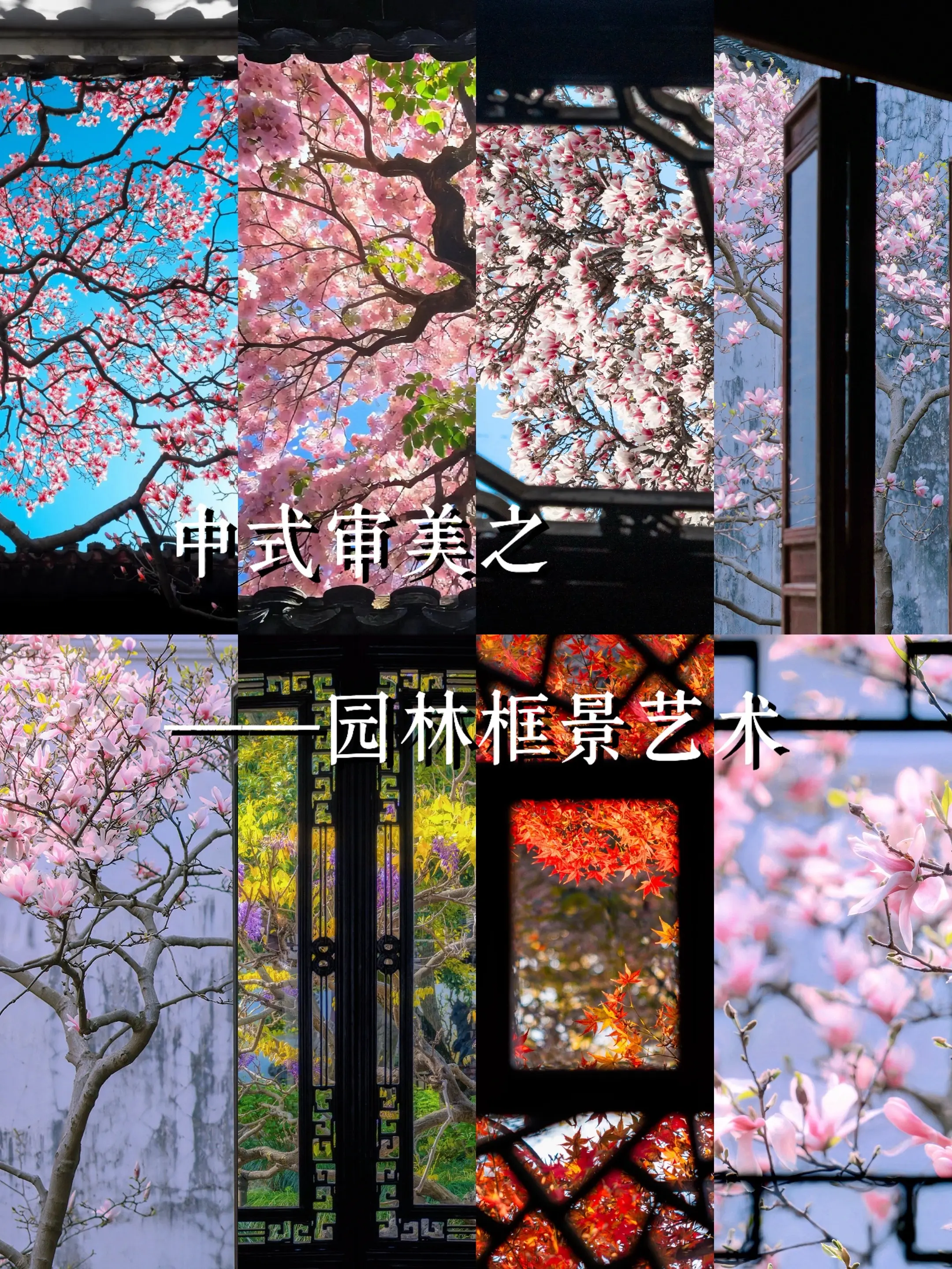 中国式审美之——园林框景艺术