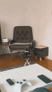 还能指望它做点什么呢？上个凳子都费劲。