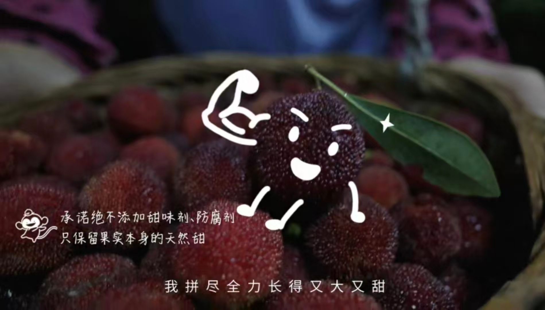 在江浙沪如果没人送你杨梅江南山野的杨梅挂满枝头，百果园作为大自然的搬运工，严选鲜