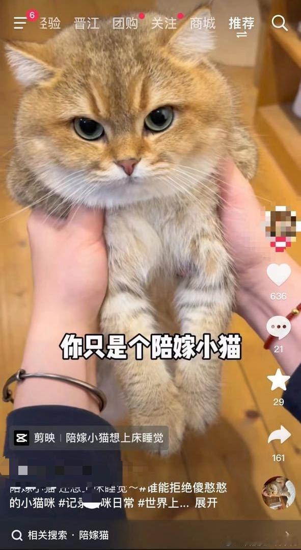 “你只是个陪嫁小猫，你还想陪我老公睡觉啊”嗲///妻在给自己老公抬咖这一块的想象