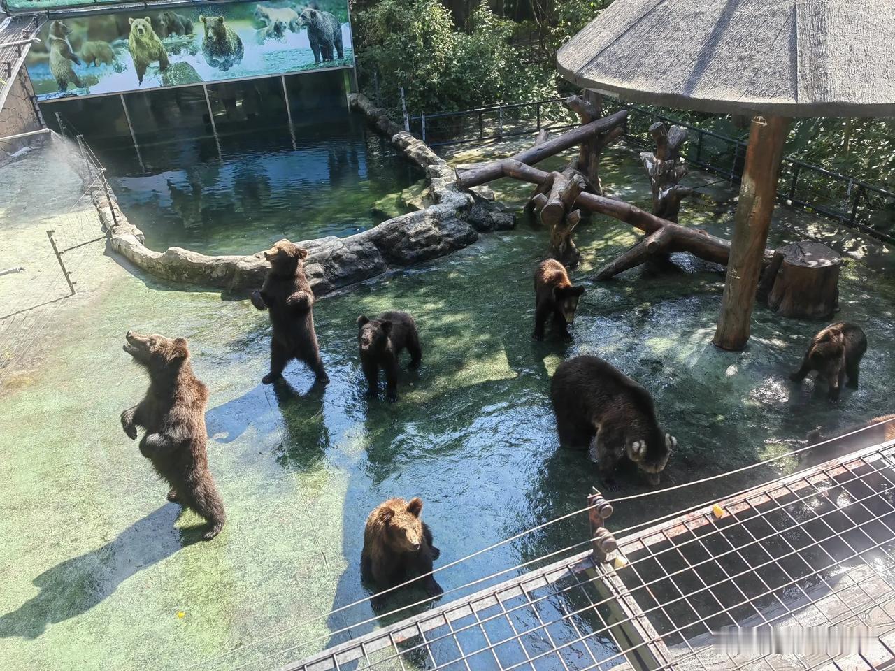 对于头条僵尸粉，
大家的做法是什么呢？
今天头条竟主动帮忙，
把我账号的僵尸粉给