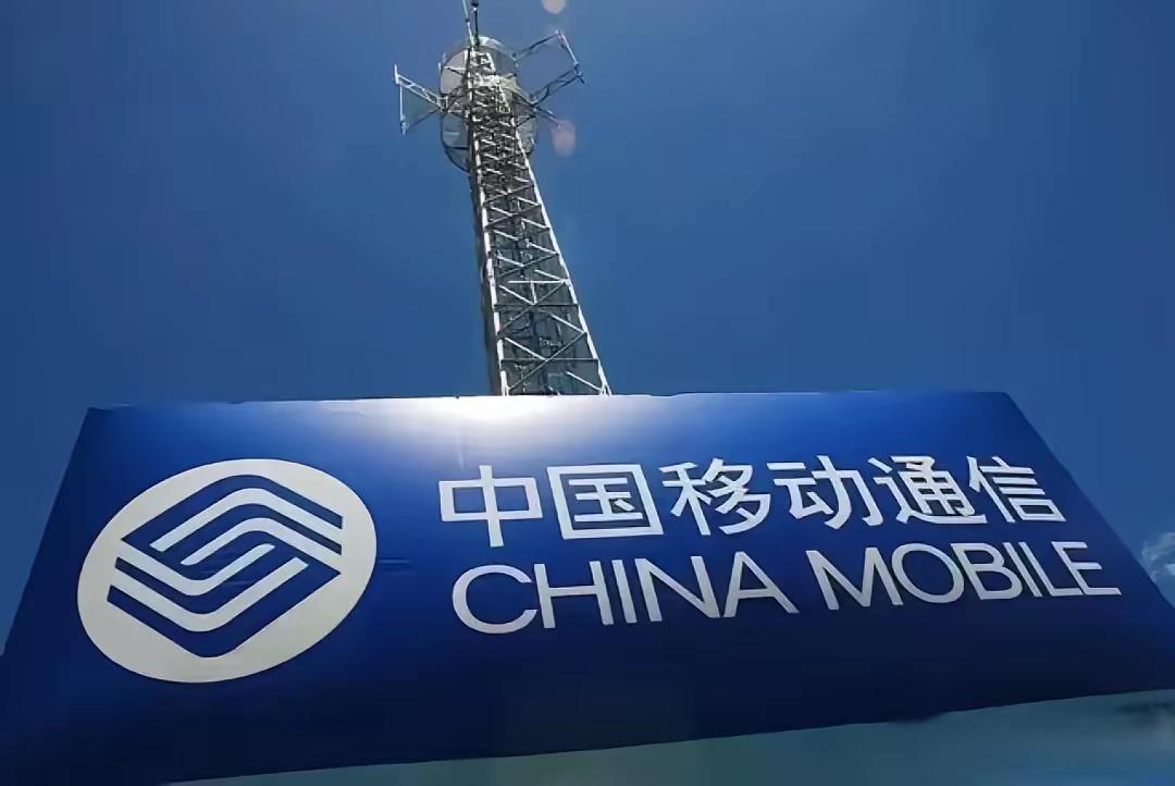 中国三大通讯运营商排行：
1、中国移动：10.09亿户
2.、中国电信：4.37