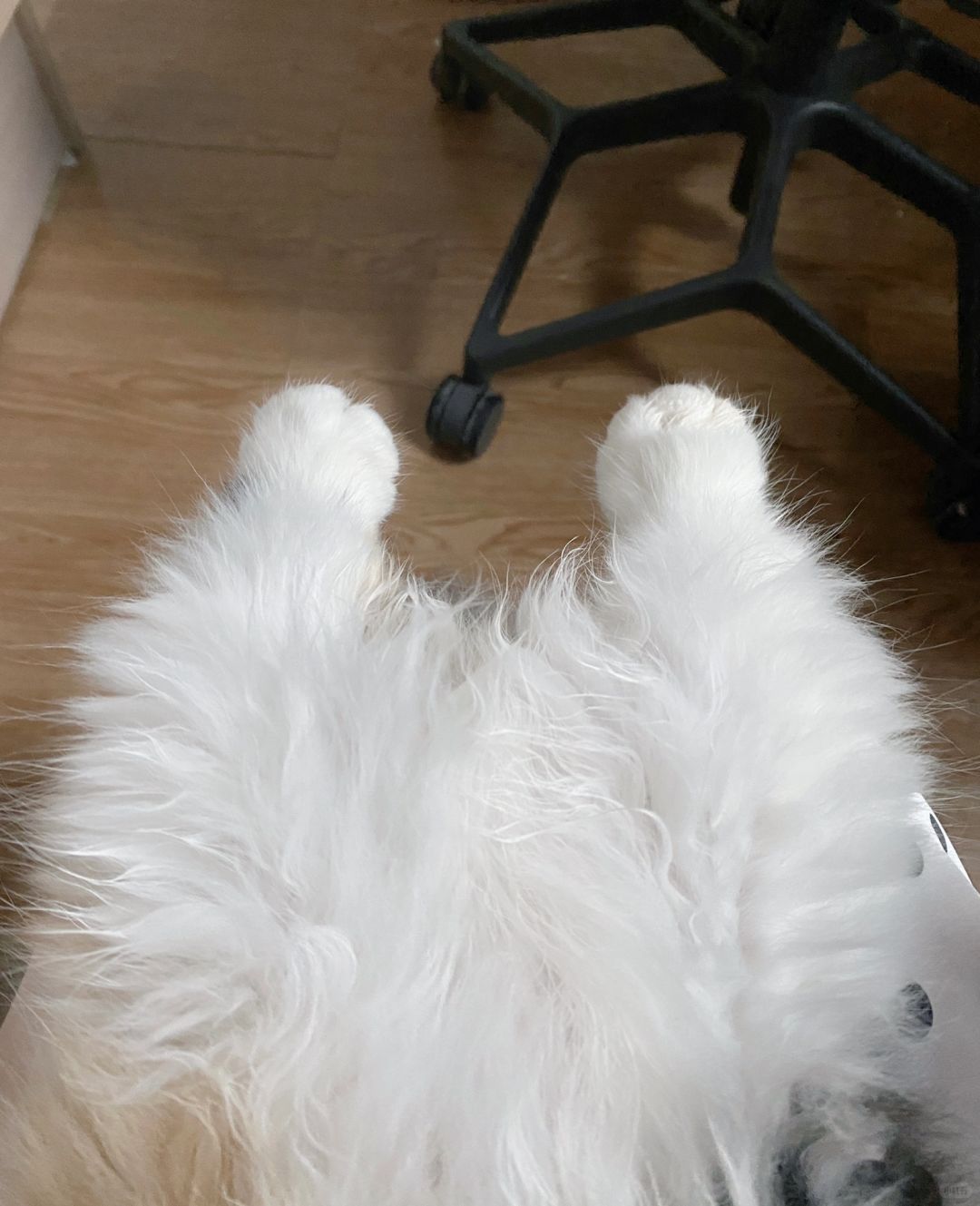 腿控集合！
