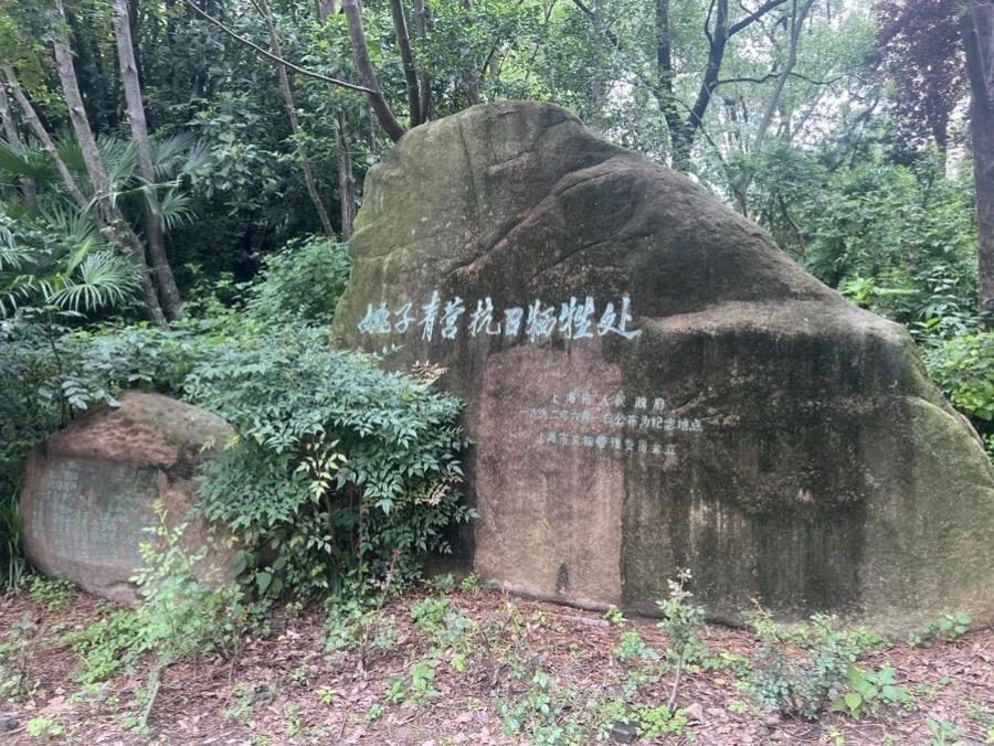 书生悍将姚子青，血战宝山7天。姚子青（1909年-1937年），又名若...