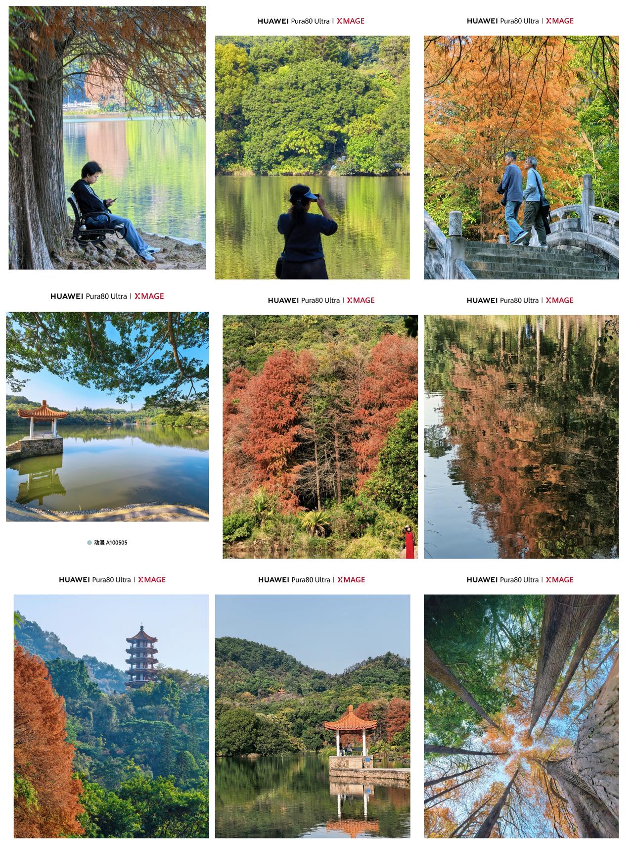 哇塞，XMAGE影像，这组风景照真是绝了！湖水、亭台、树林的色彩搭配超级治愈，无