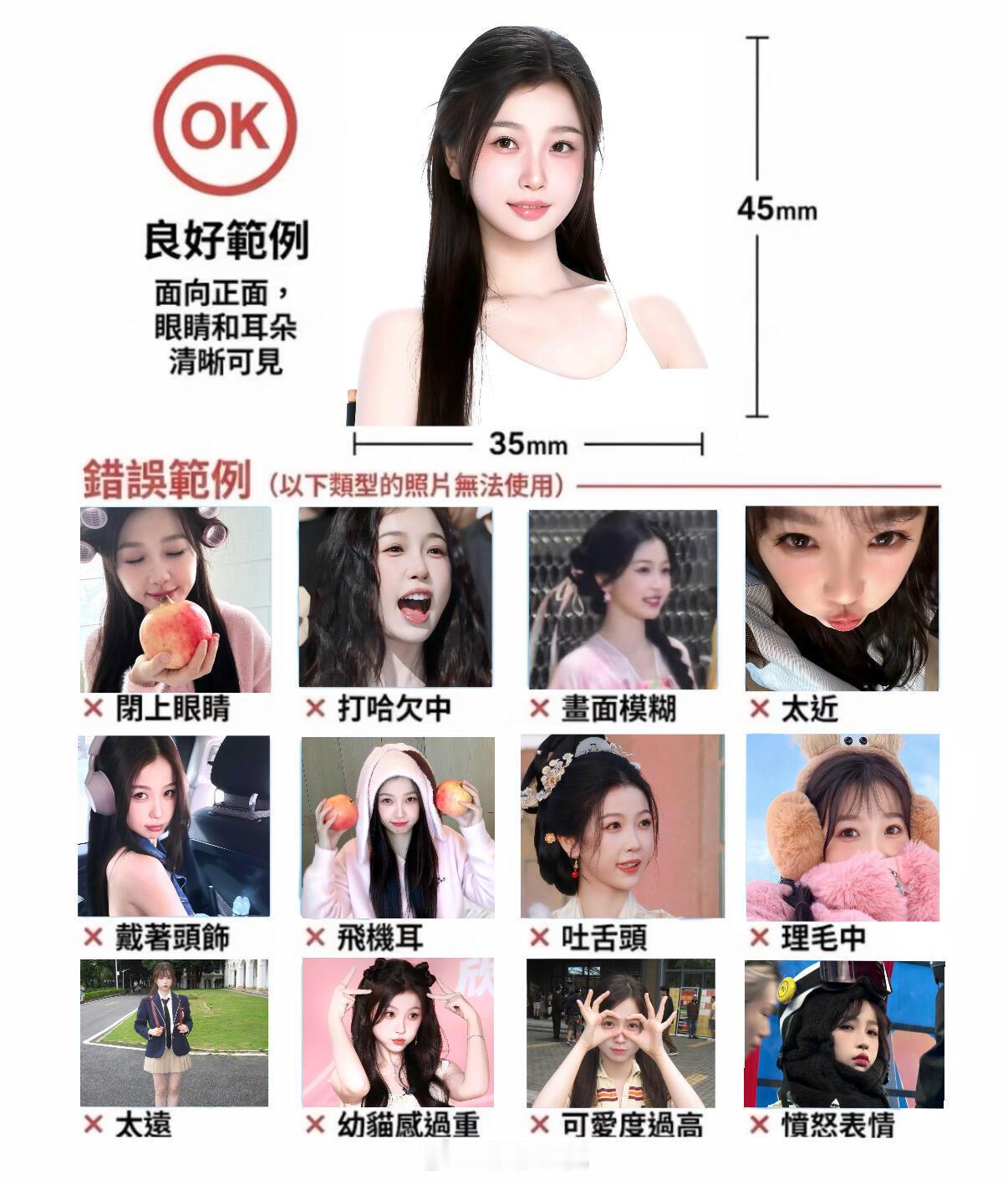 内娱证件照拍摄指南内娱版小猫证件照拍摄指南 这个系列绝对可以申遗！虞书欣的布偶猫
