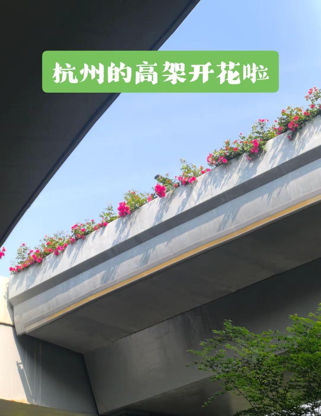杭州高架迎来了它的春天杭州 高架桥