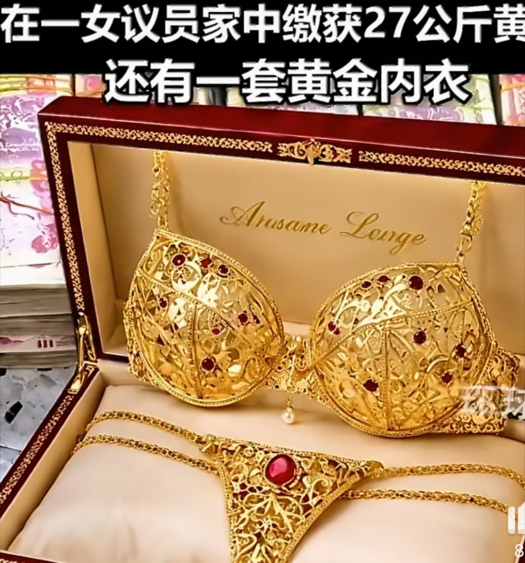 伊拉克女议员家中搜出黄金内衣黄金内衣。。。。。。有钱人的品味真的超出我的想象。 