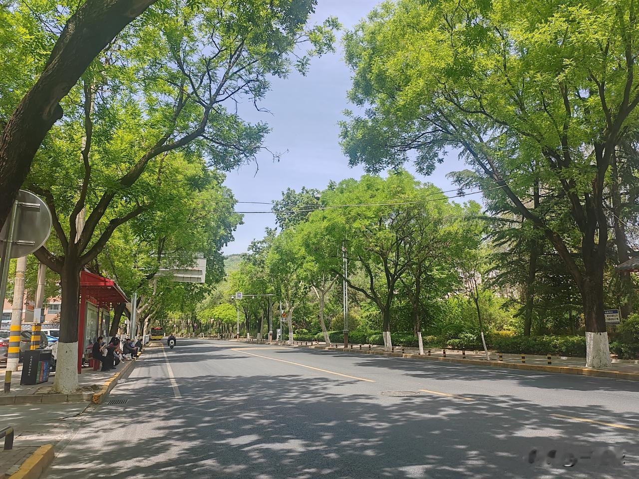 接纳自己的平庸，接纳深爱的人渐行渐远，接纳倾尽全力的成空。人总以为拼死逆流才是勇