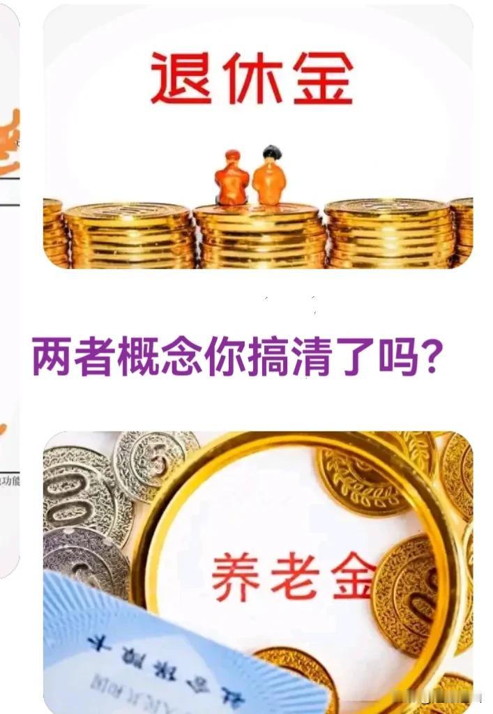 简单的概念好多人搞不明白，单位退休后领的是退休金，个体单缴社保领的是养老金。
