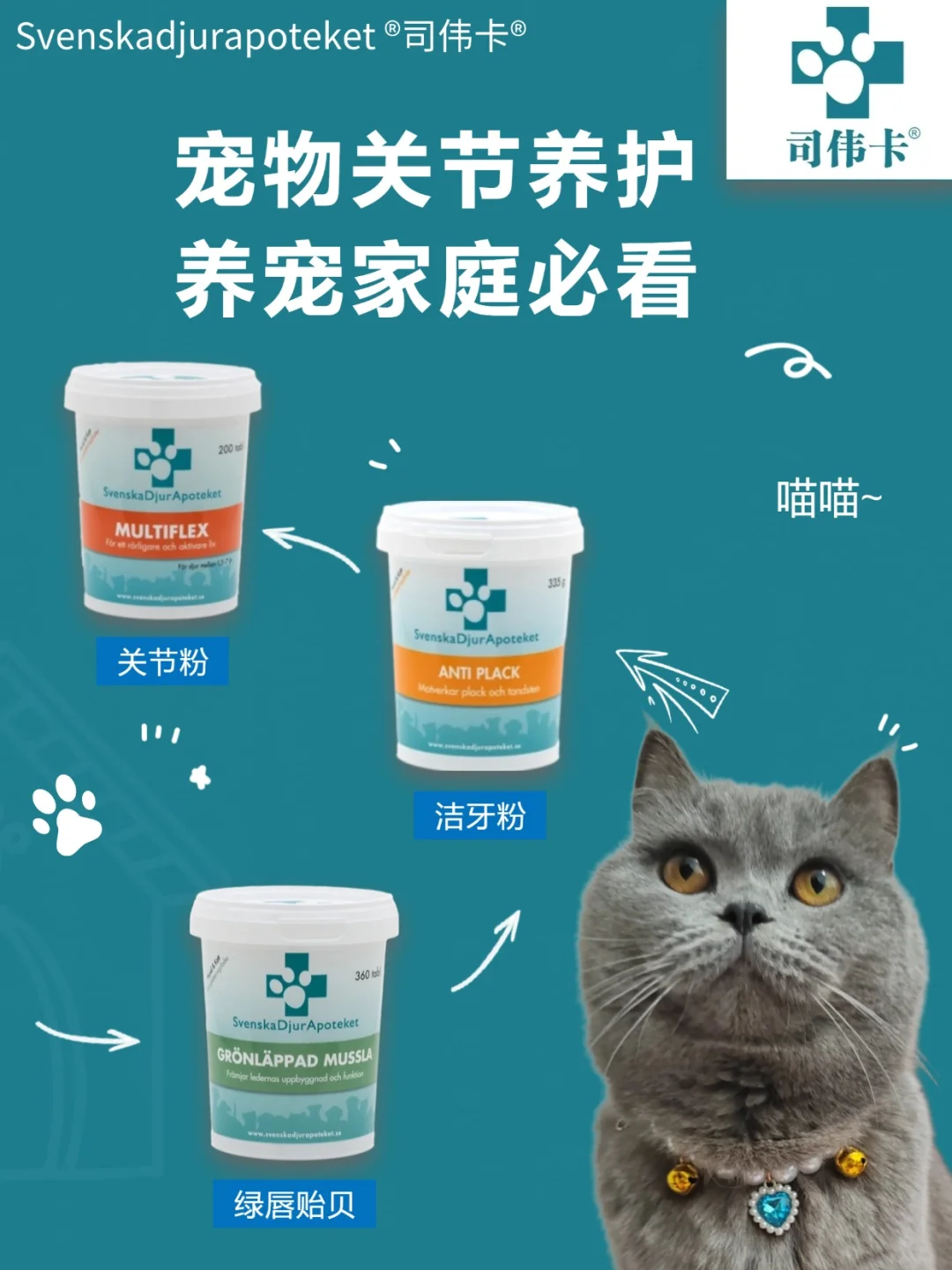 资深养宠人推荐-狗狗全面健康管理的秘籍🐾