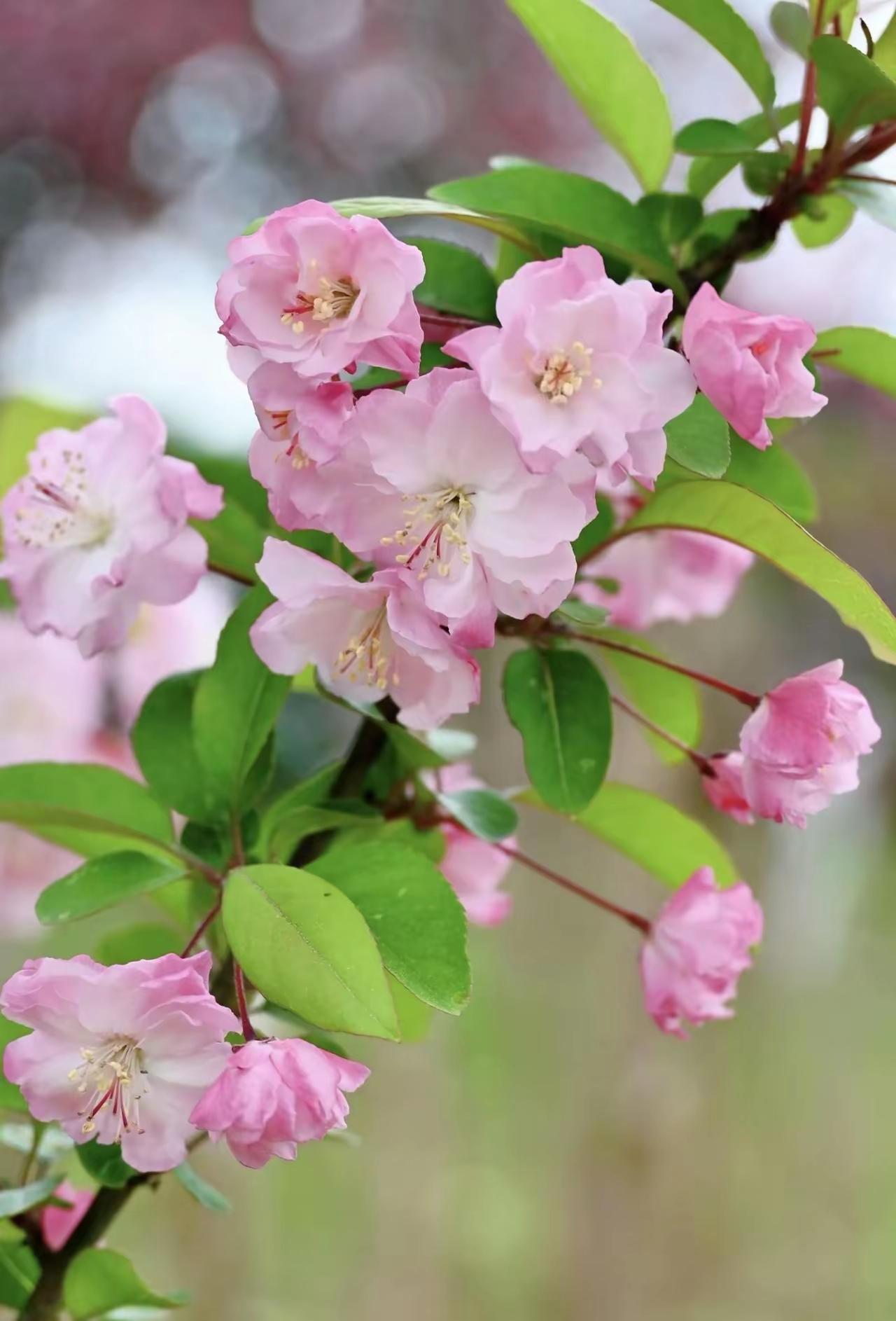 简约生活，轻装前行
 
人这一生，背负的东西实在太多。
放不下的得失，忘不掉的过