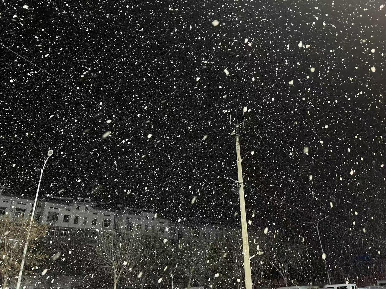 山东的第一场雪来了，而且下得还很大。

半夜时分的鹅毛大雪，让大地裹上了银装。很