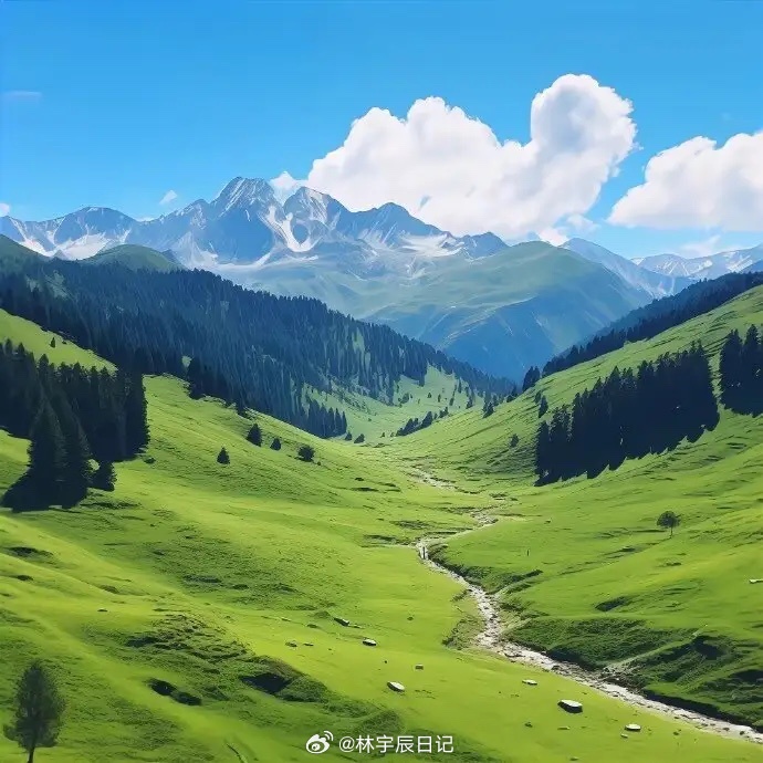 有色金属与科技板块双剑合璧，组成本轮牛市双核心主线。1. 紫金矿业：主营铜、金、
