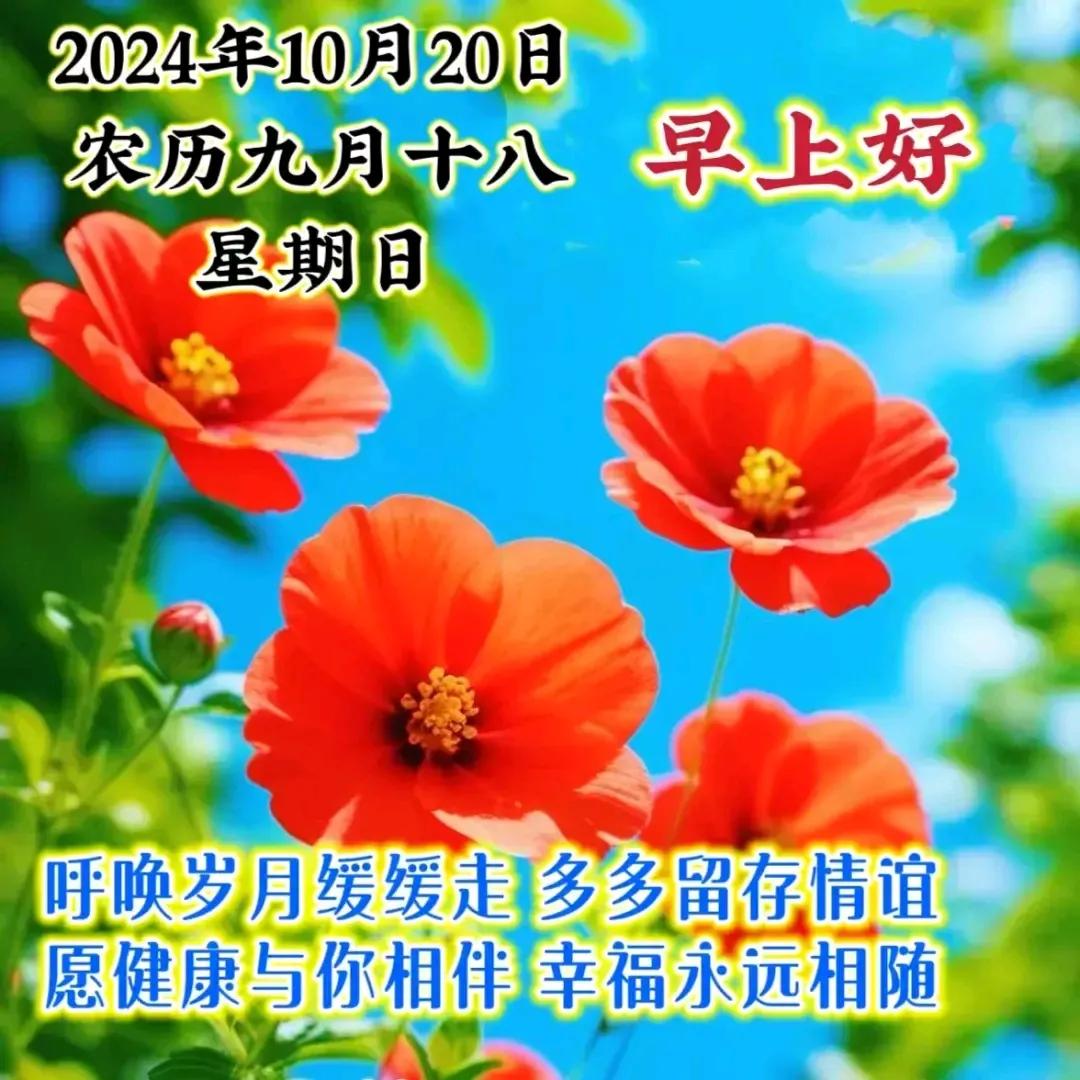 醒早霜月微风寒，晨朗霞飞对诗联。。。
#上联：晨曦微露静无言；念姐邀对#

心醒