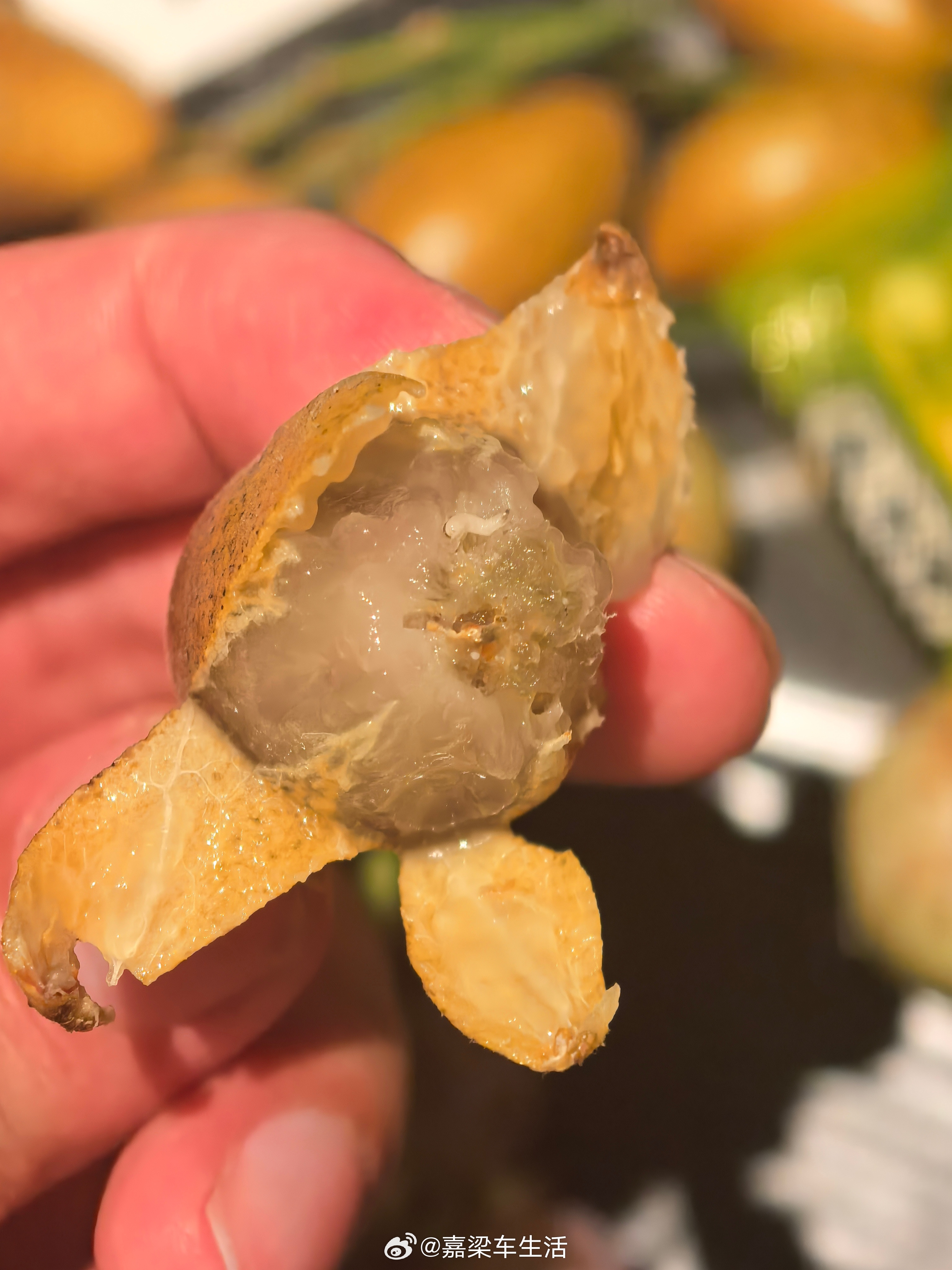 回家显摆我吃的奇葩水果的时候，才发现上面有个虫[允悲]，当时吃的可真香啊[笑cr