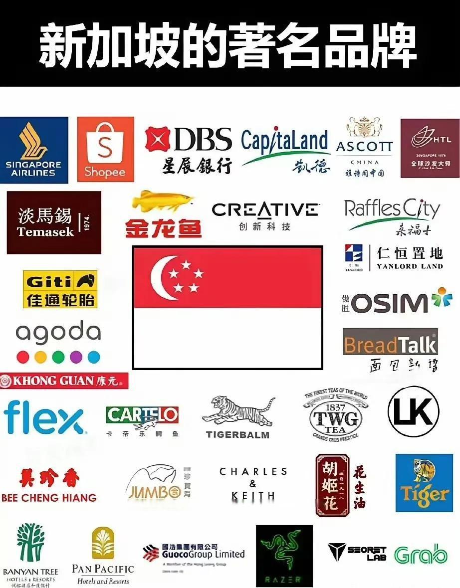 网友总结的新加坡的著名品牌，胡姬花和雷蛇居然不是中国货？ 