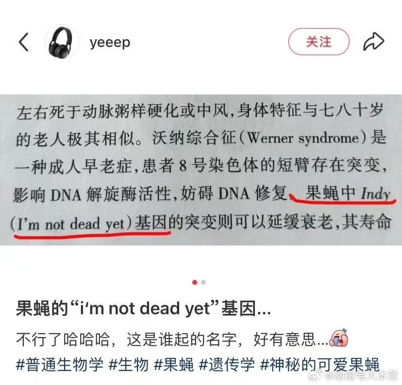 没有外生殖器是Ken and Barbie哈哈哈哈哈哈哈 