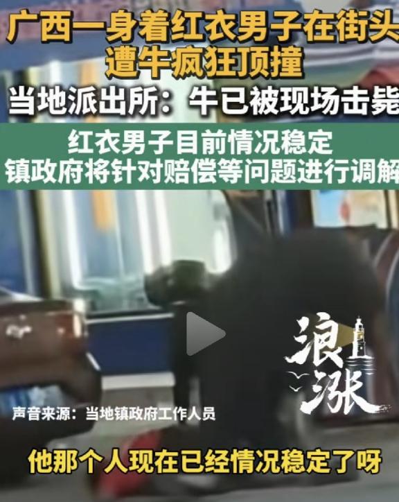 红衣惹祸！街头突然冲出一头疯牛，径直将一名红衣男子狠狠顶翻在地。情况危急，警方赶