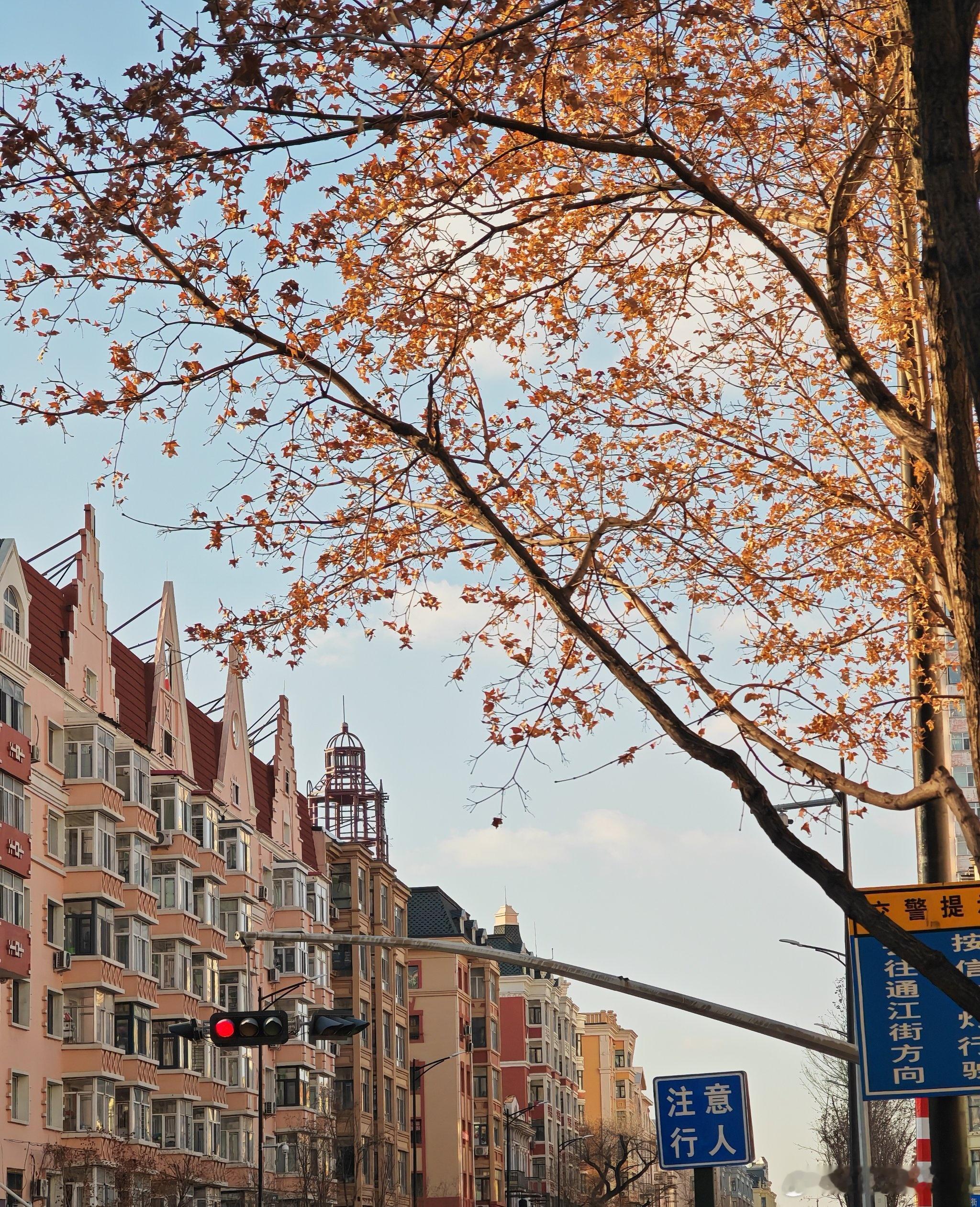 心里话         允许一切发生，也允许自己短暂的歇息。舒服自在才是生活的本