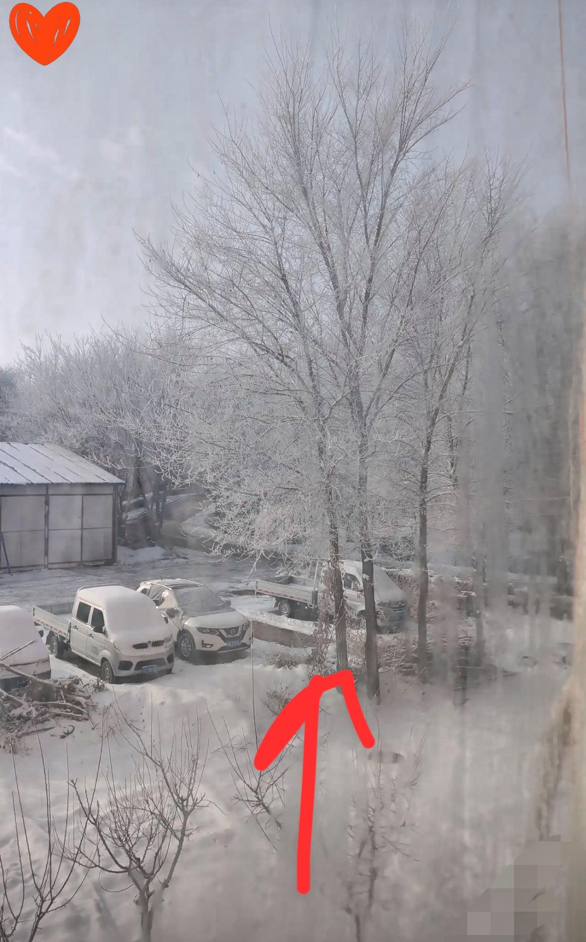 我的是不是心理有问题了。

我是1963年的，今年63岁。
从年轻的时候，我就不