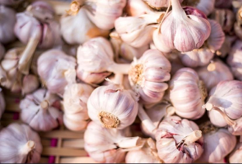 美方将中国大蒜列为“国家安全威胁”的荒诞闹剧。
 
       大蒜本是寻常餐