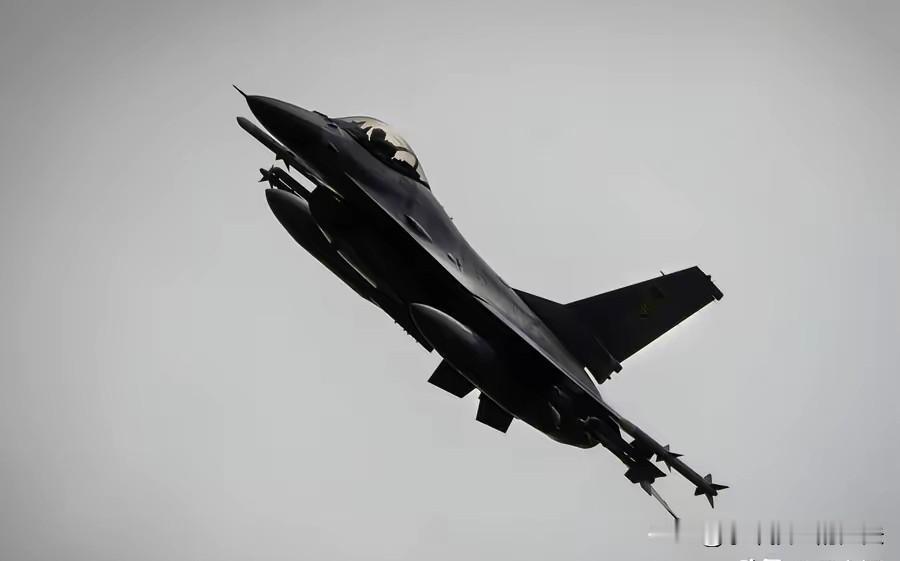 波波夫将军：被击落的乌军F-16战机机组人员未预料到遇袭
​1月12日，俄军飞行