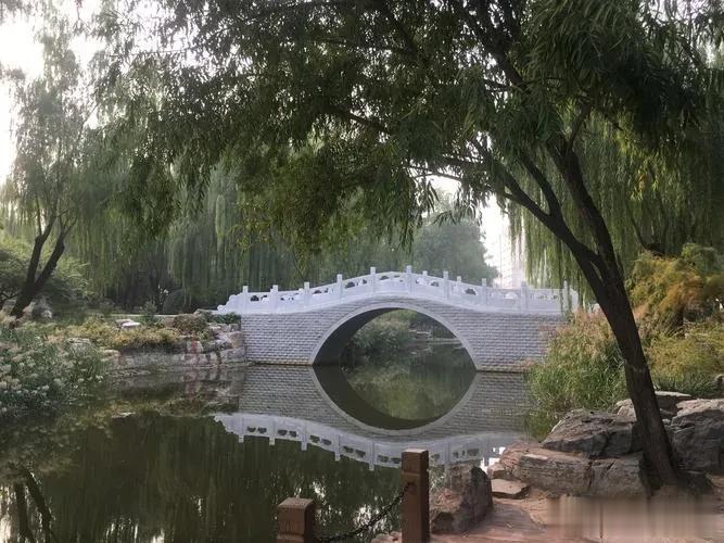 北京小众宝藏公园。
小小的柳荫公园，柳树成荫，满眼都是绿色，最近荷叶铺满了池塘，