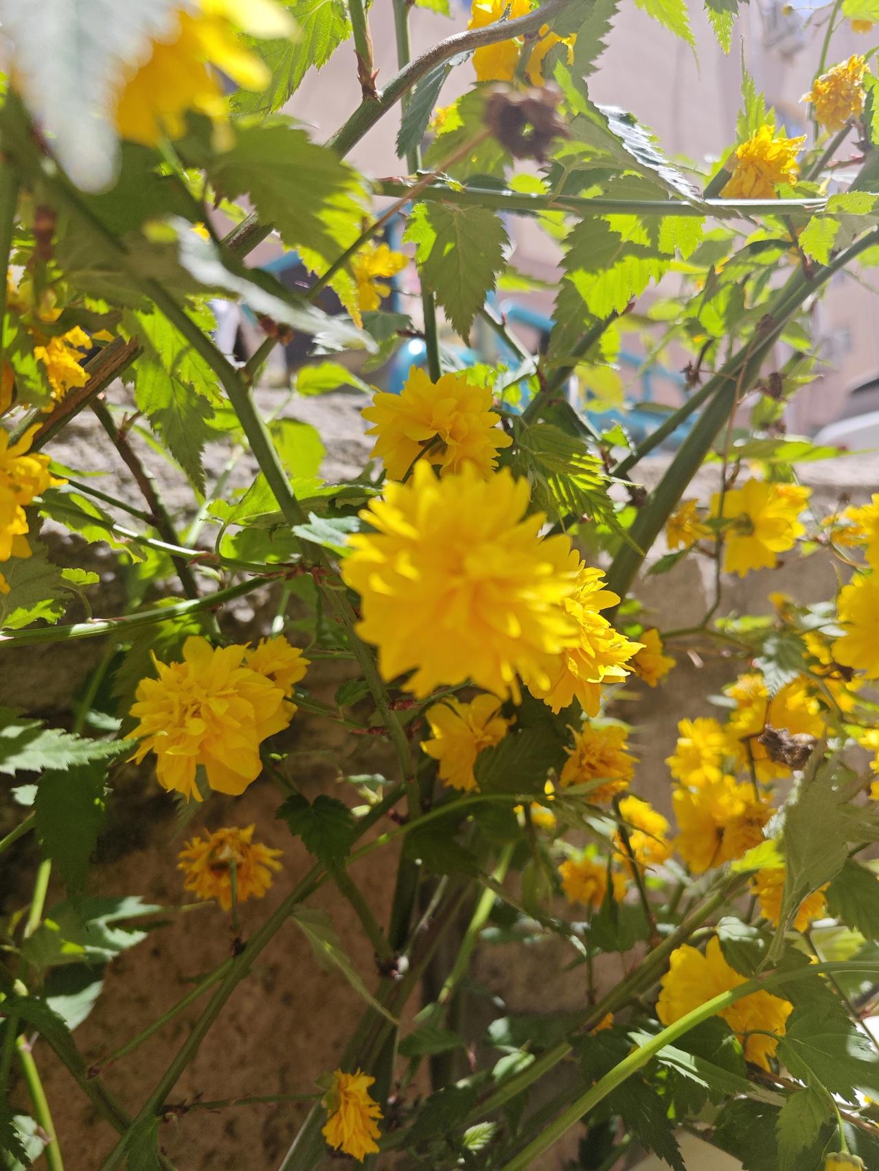 有好多人退休以后，都可以发挥余热继续工作，更何况是正值中年，精力充沛，阅历历丰富