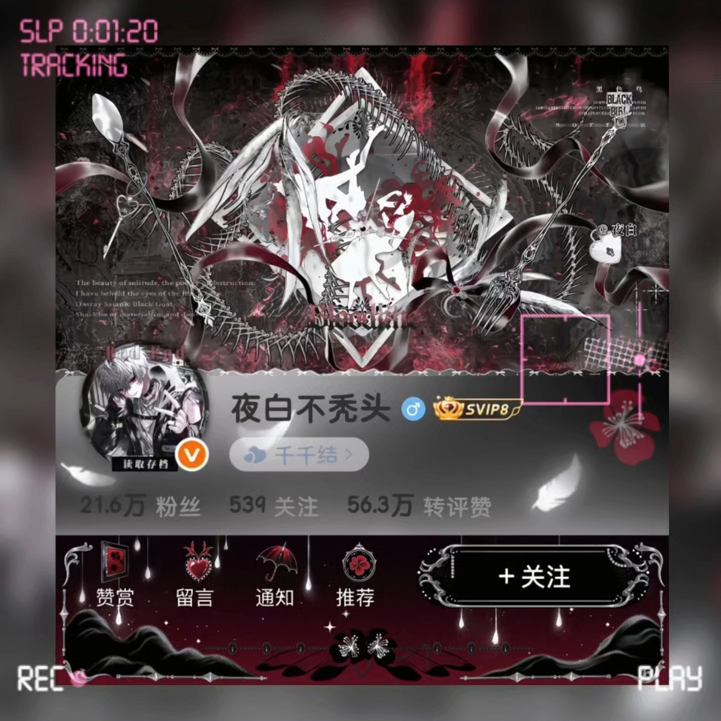 来听歌吧专栏 · ♫爱有千千结♫
