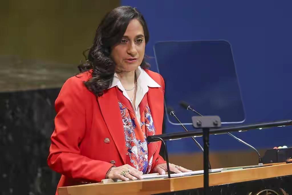 【太愚蠢】
当地时间3月26日，加拿大外长阿南德宣布，加拿大对伊朗的5名个人和4