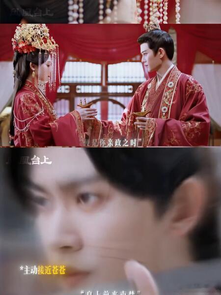 萧焕凌苍苍从江湖到朝堂，假意藏真心的拉扯太动容，明知不该爱却深陷，这感情线好嗑到