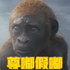 #杨洋 乔欣#所以乔欣爱杨洋，杨洋爱张天爱，张天爱爱徐开骋，徐开骋爱娜扎，娱乐圈