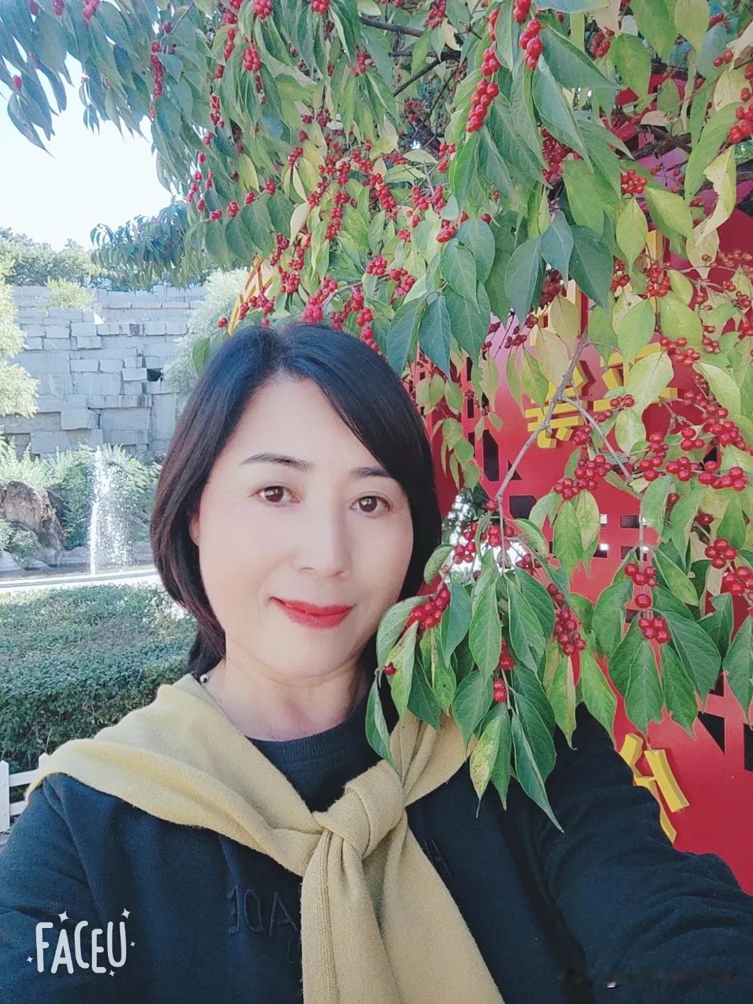 忍冬果，北方相思豆
红红圆圆一串串
晶莹剔透最鲜艳
由绿变紫再变红
一年四季，长