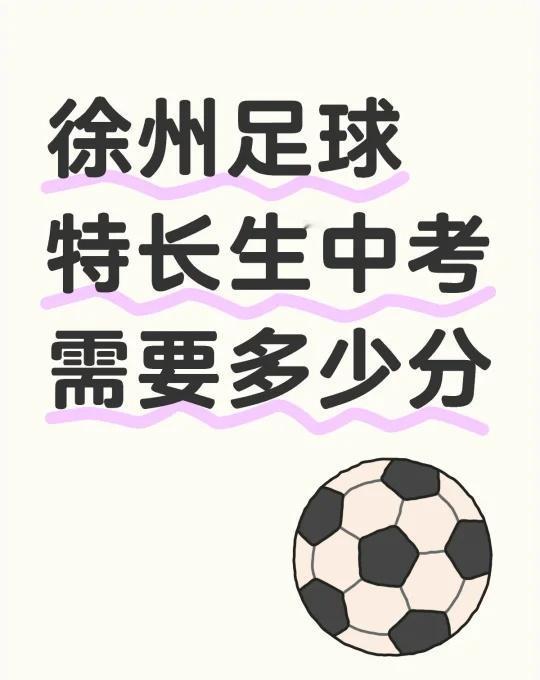 徐州足球特长生中考需要多少分
不懂就问有问必答
