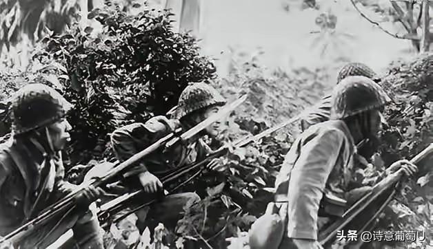 1943年4月的苏北大胡庄，那个夜晚静得出奇，连风吹过树叶的声音都听得清清楚楚。