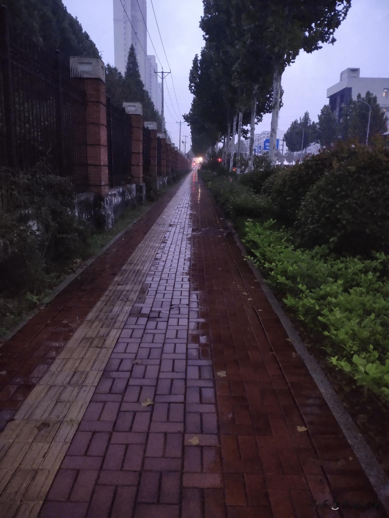 分享我这周有趣的事：我平时早上起床都是比较晚的，那天我有事起的很早，天不亮就起来