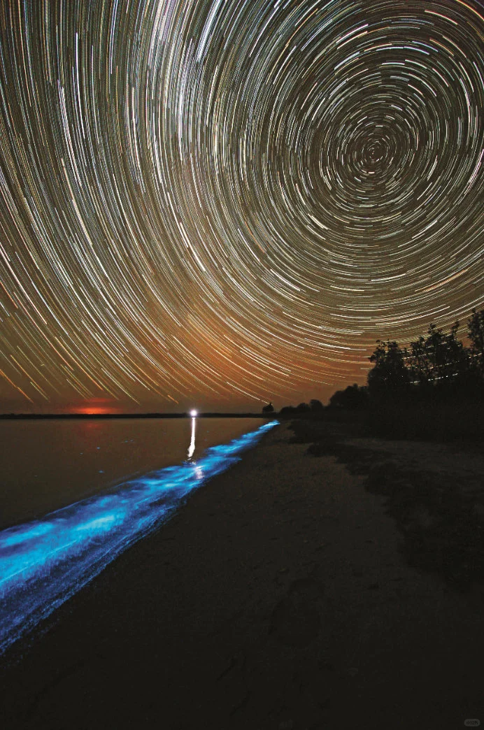 星空下的荧光海