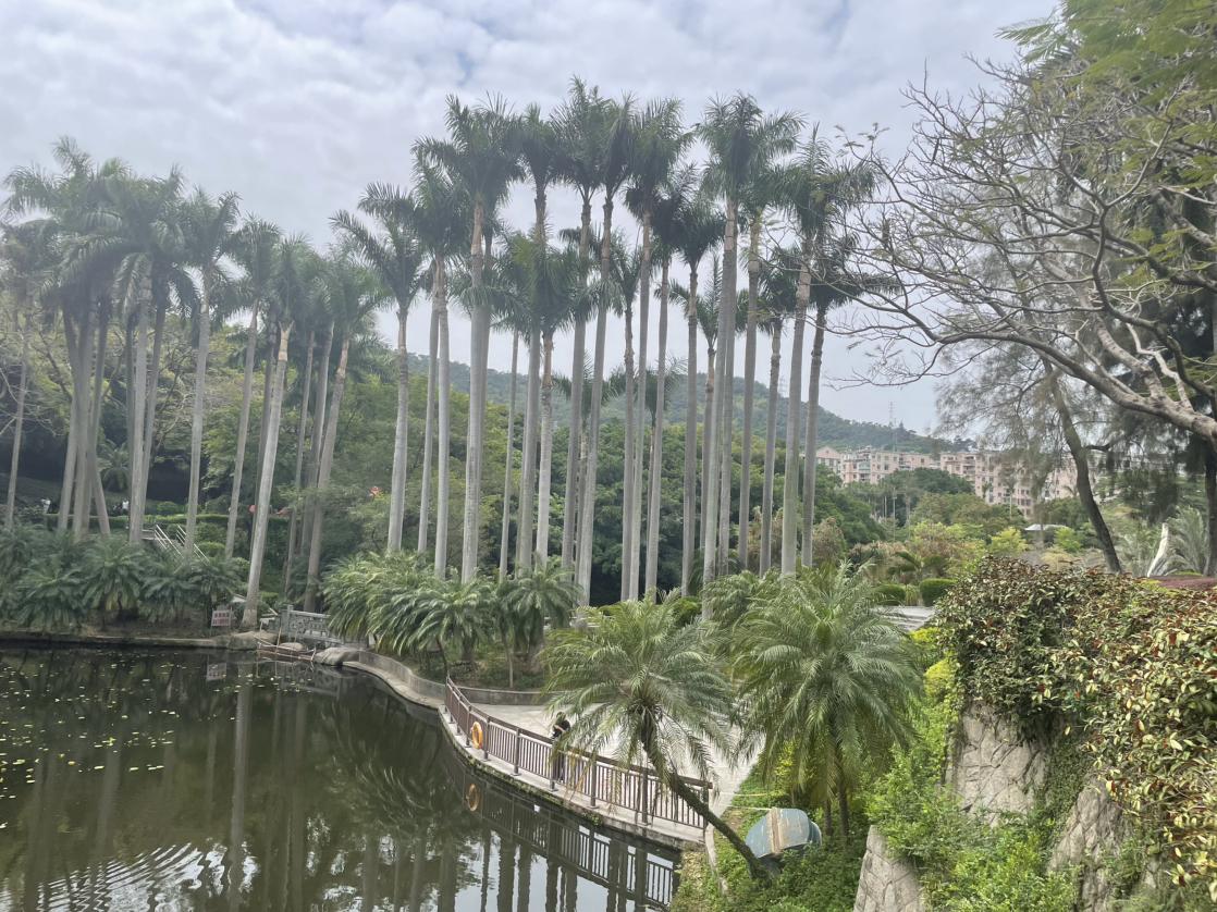 我的今日状态：💰期待暴富
我这里的天气：☀️晴天