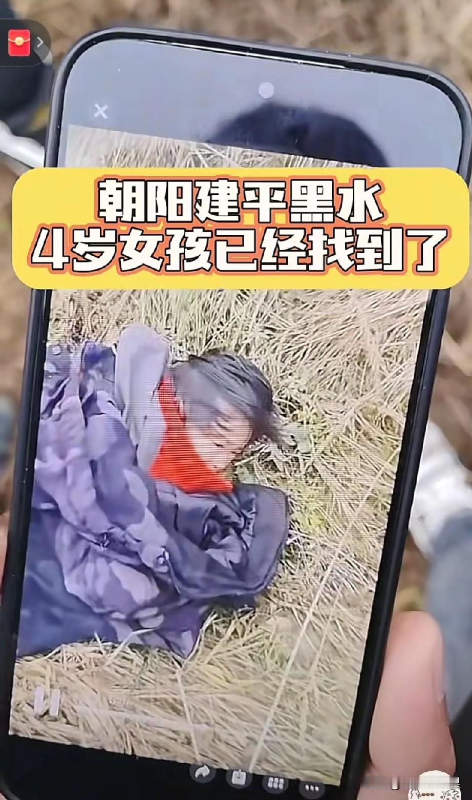 真的太激动了，刚才看网友说辽宁朝阳建平那个丢失的4岁小女孩丁一找到了，孩子目前平