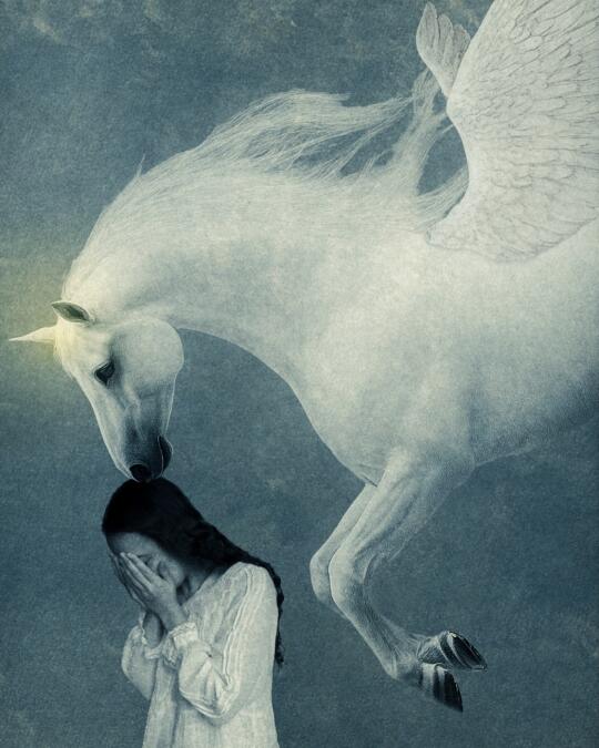 美 午夜 幻象 梦游者 🌠