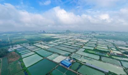 一、选科要求：全部不提科目要求，物理历史都能报
先说选科。2026年新高考，广西