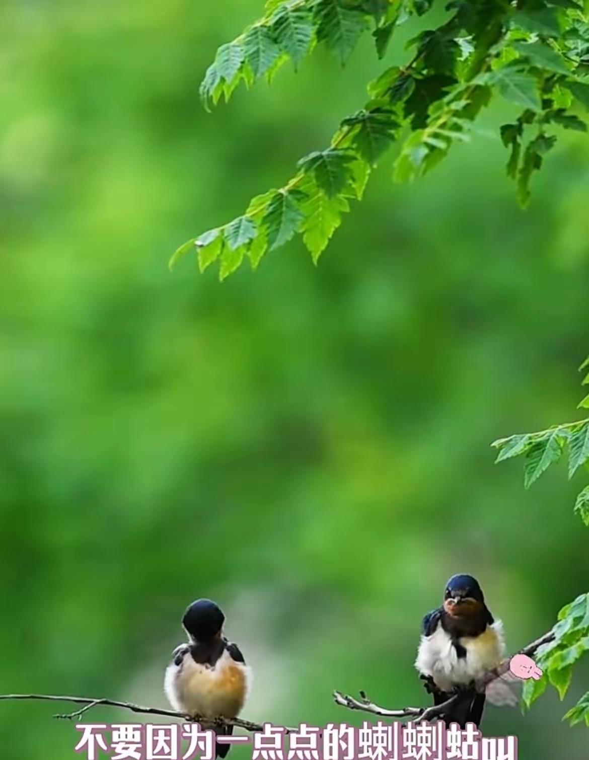 兰姐直播间又被问炸了，全是关于儿子儿媳那点事儿。
她眼皮都没抬，继续介绍她的酸辣