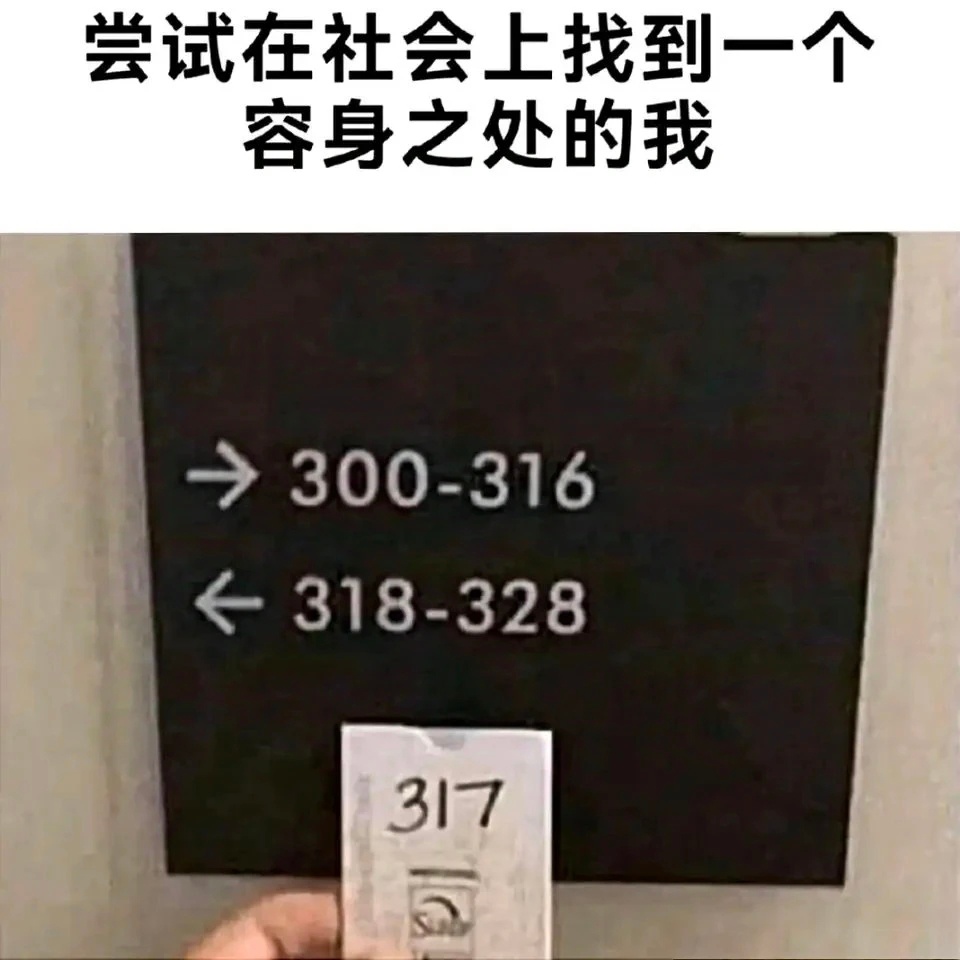 夹缝生存memes
