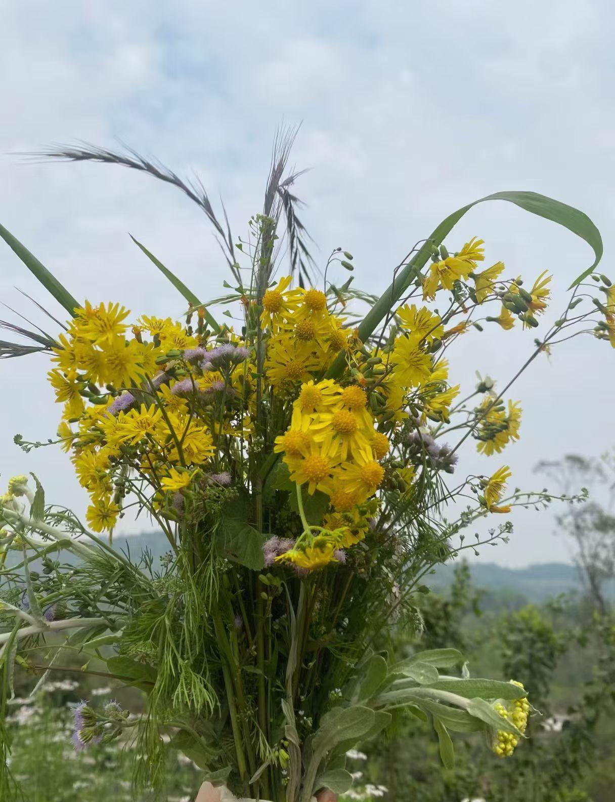 今天清明节
​和妈妈一起出去折了柳条编了帽子
​摘了路边的野花
​收到了朋友送的