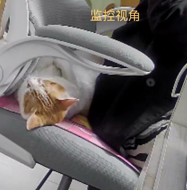 好乖的美梅 