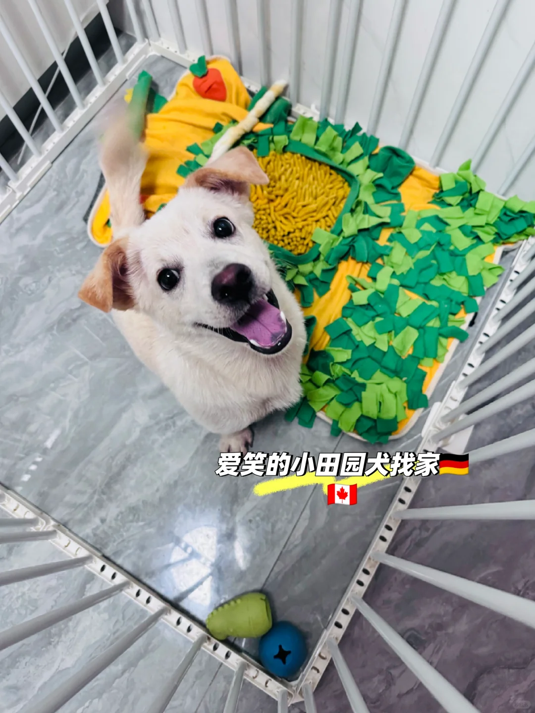 你可以带我回家吗