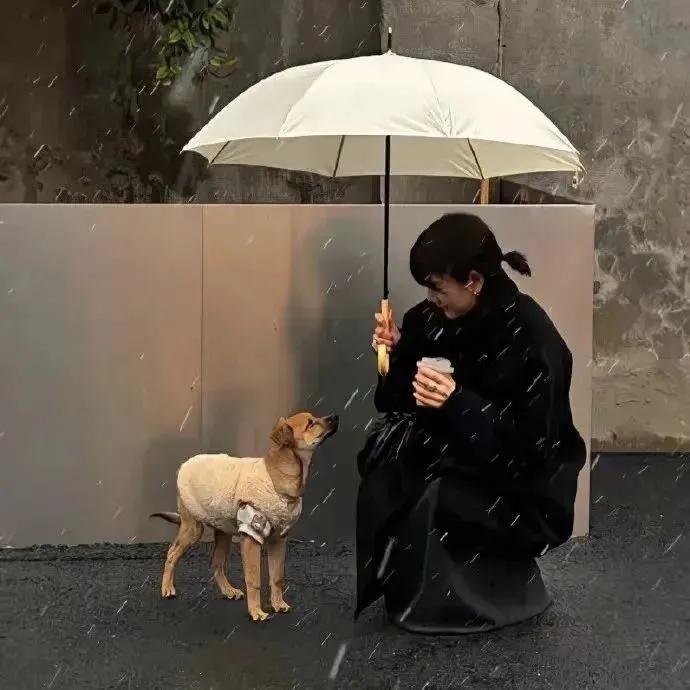 【睡前一段话】浅浅喜，静静爱

到了一定年纪才明白，

最好的生活方式就是，
