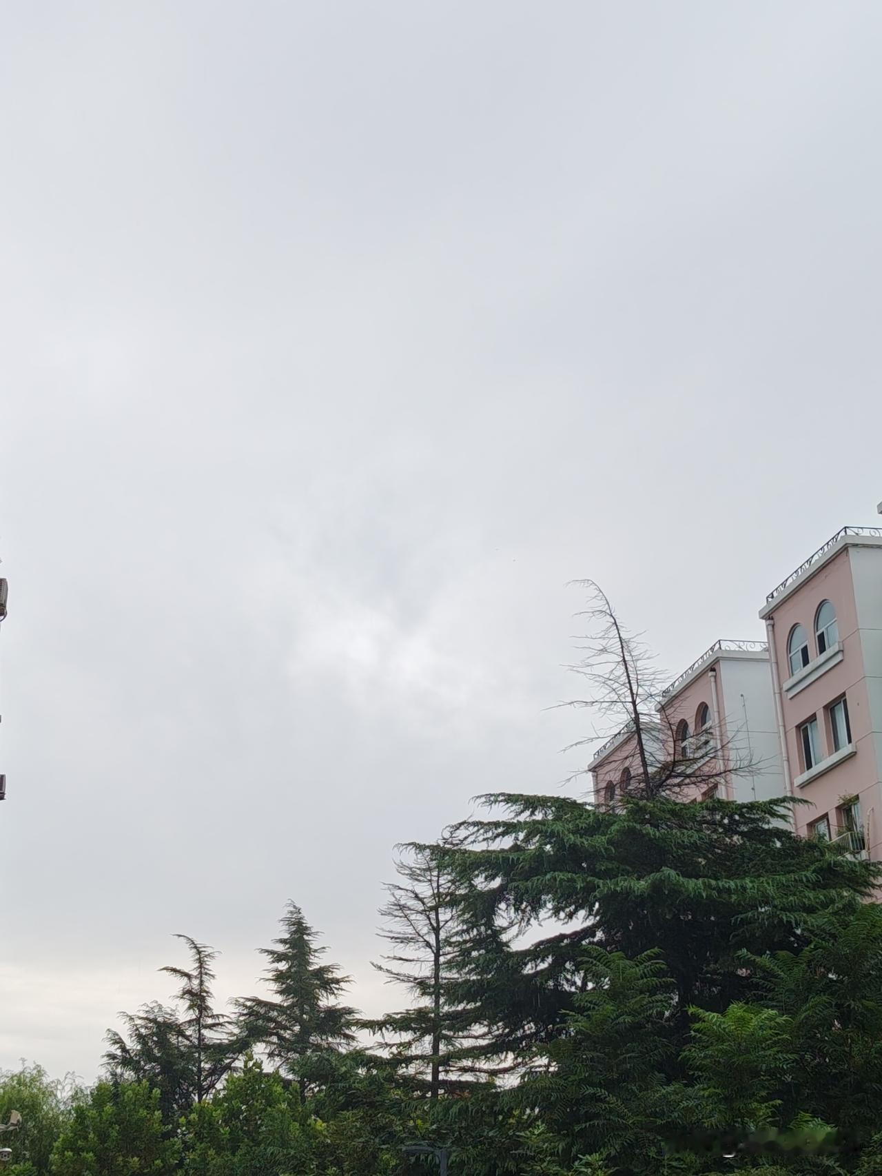 现在的天气预报真准确，我准备去打奶和早市买菜，查了查天气预报，说是7点有雨，果然